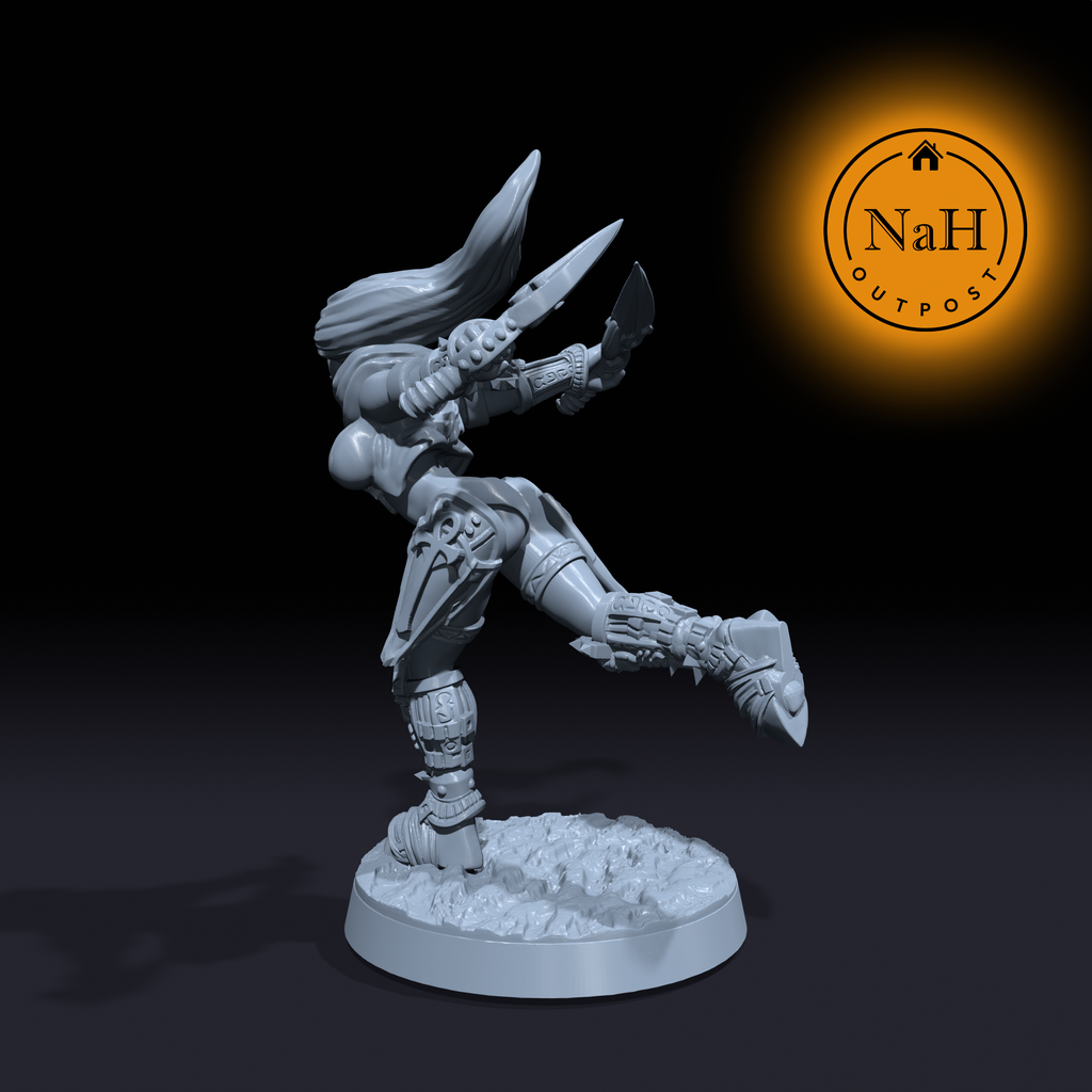 Ariella Twinblades | Mikasa | Female Rogue Assassin Miniature for Tabletop games like D&D and War Gaming| Dungeons and Dragons Mini | RN estudio
