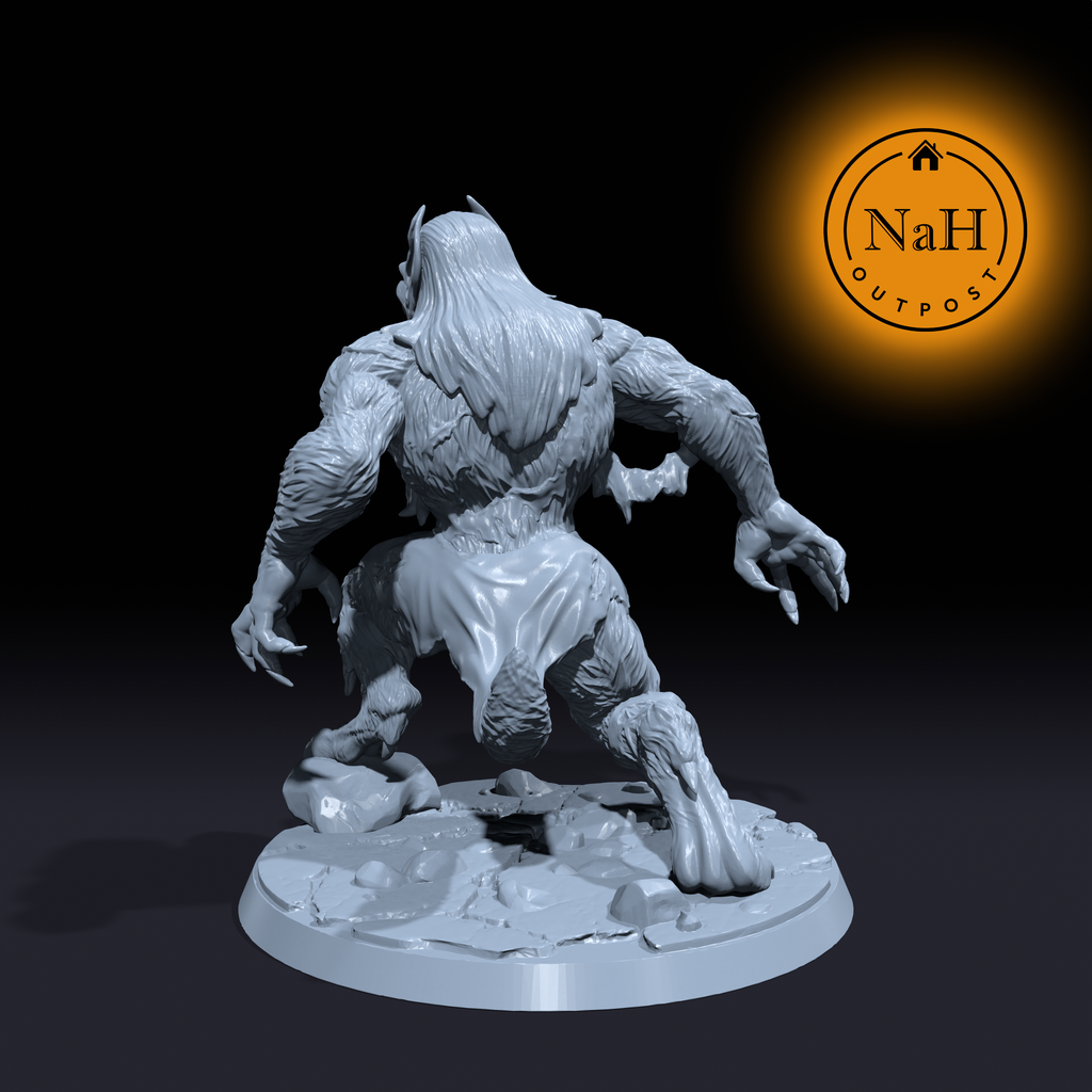 Lunaclaw, the Night's Bane | Female Werewolf Miniature for Tabletop games like D&D and War Gaming| Dungeons and Dragons Mini