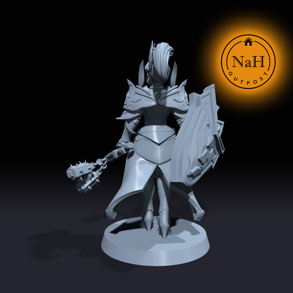 Jessenia Shieldheart | Female Paladin or Cleric miniature for Tabletop games like D&D and War Gaming| Dungeons and Dragons Mini | RN estudio