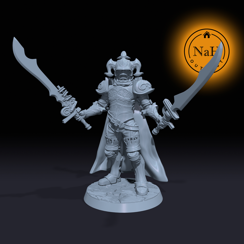 Draven Steelstorm | Gabranth | Paladin or Fighter miniature for Tabletop games like D&D and War Gaming| Dungeons and Dragons Mini | RN estudio