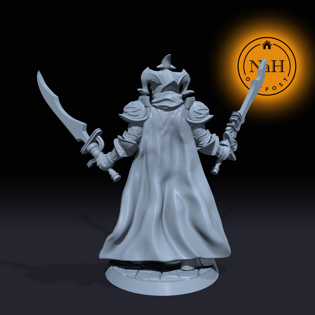 Draven Steelstorm | Gabranth | Paladin or Fighter miniature for Tabletop games like D&D and War Gaming| Dungeons and Dragons Mini | RN estudio