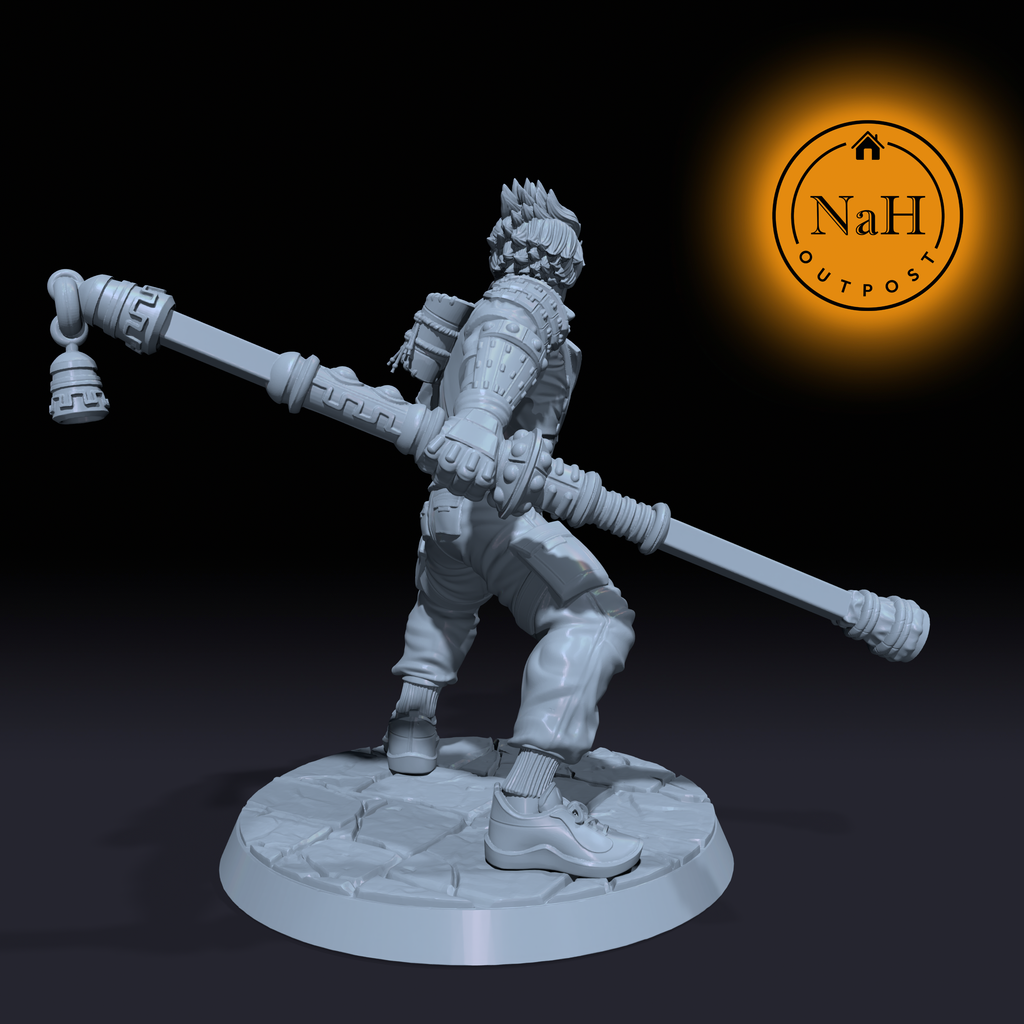 Tenzin Ironstaff | Sonon Monk miniature for Tabletop games like D&D and War Gaming| Dungeons and Dragons Mini | RN estudio