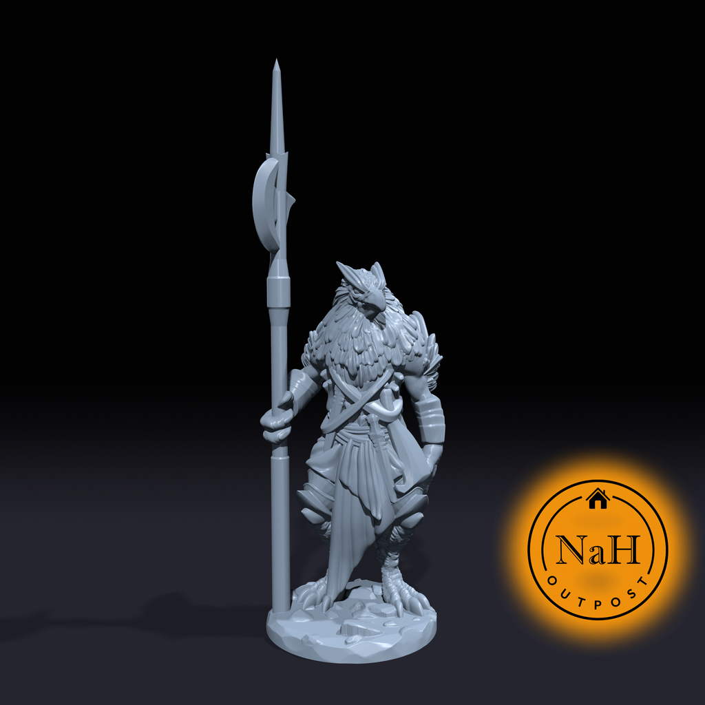 Aarakocra | Bird Folk | Miniature for Tabletop games like D&D and War Gaming