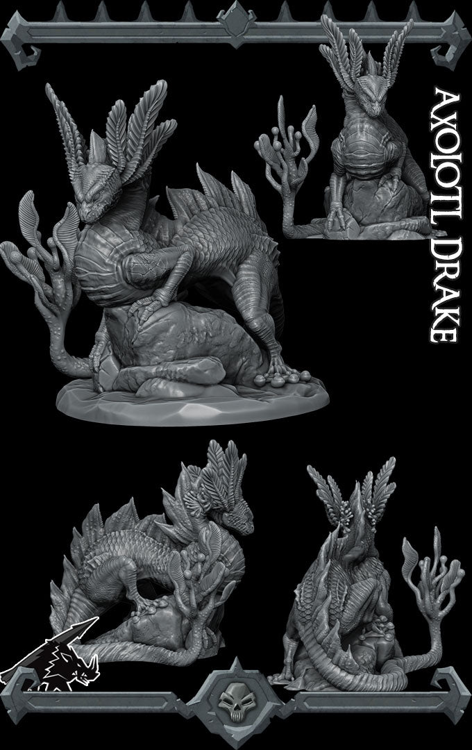Axolotl Drake | Water Dragon Miniature for Tabletop games like D&D and TTRPG War Gaming
