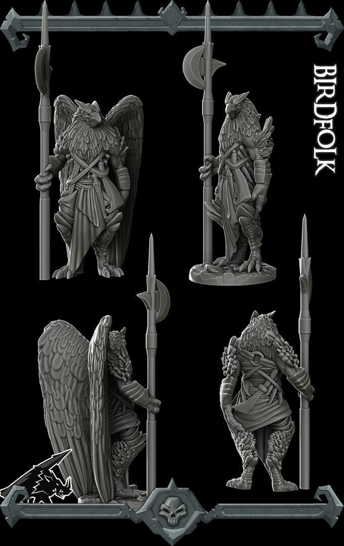 Aarakocra | Bird Folk | Miniature for Tabletop games like D&D and War Gaming