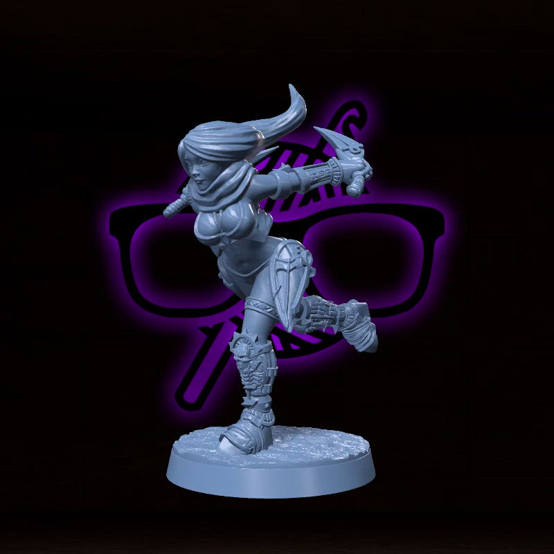 Ariella Twinblades | Mikasa | Female Rogue Assassin Miniature for Tabletop games like D&D and War Gaming| Dungeons and Dragons Mini | RN estudio
