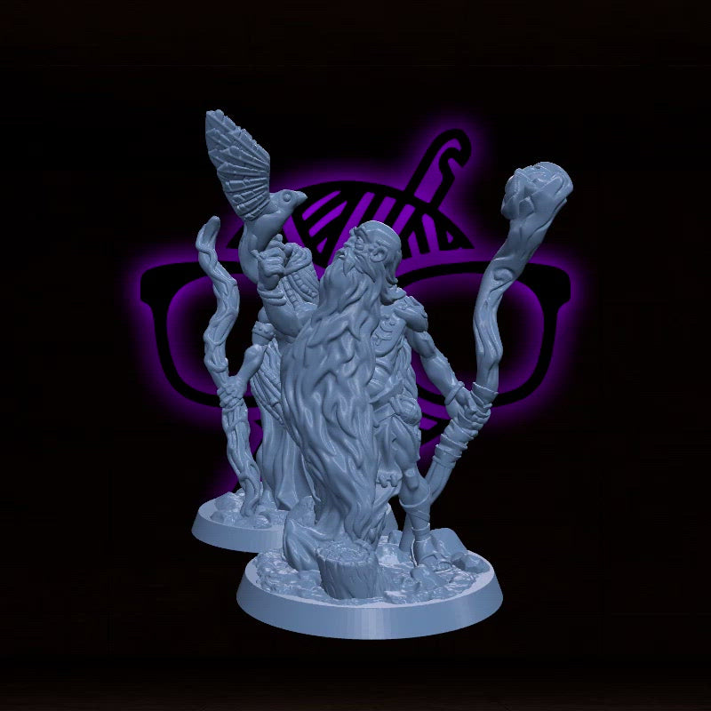 Druid | Male and Female  Arbiter| Character miniature for Tabletop games like D&D or War Gaming | Circle of Life Moon Shepard Stars Spores