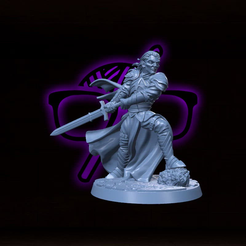 Levariel Silverblade |  Elf Knight | Barbarian | Fighter miniature for Tabletop games like D&D and War Gaming| Dungeons and Dragons Mini | RN estudio