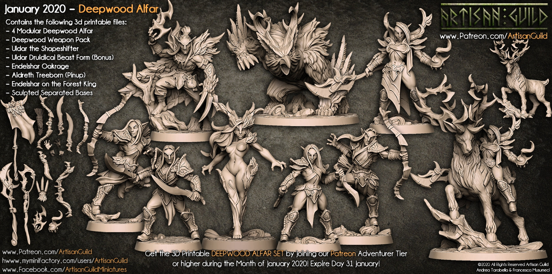 Aidreth Treeborn | Deepwood Alfar | Elf Pinup miniature for Tabletop games like D&D and War Gaming