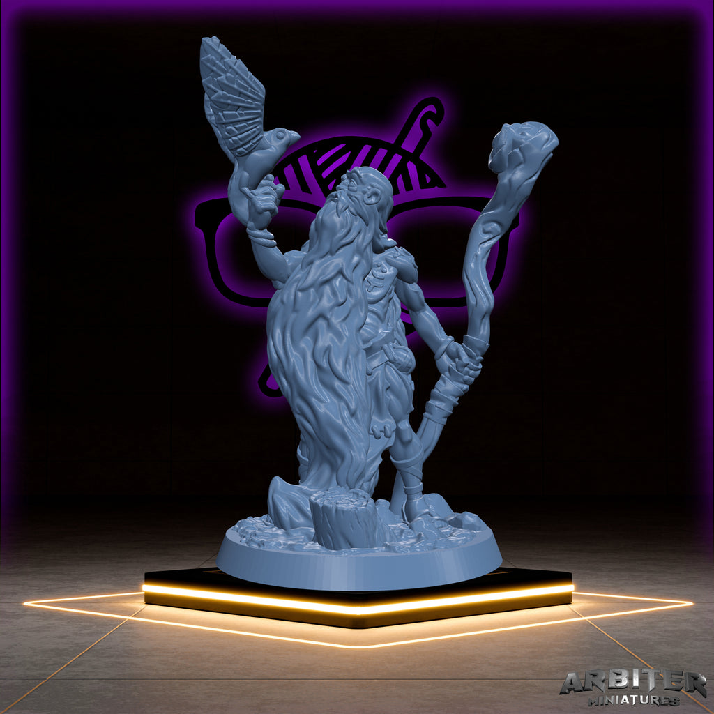 Druid | Male and Female  Arbiter| Character miniature for Tabletop games like D&D or War Gaming | Circle of Life Moon Shepard Stars Spores